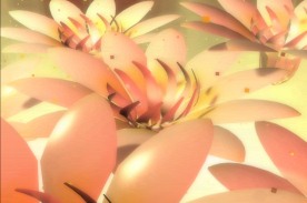 鲜花开放