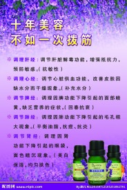美容版面