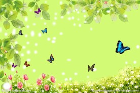 春天里蝴蝶花丛中背景图