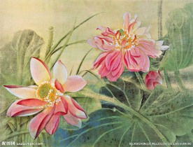 装饰画荷花