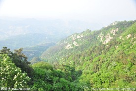 大山 山谷