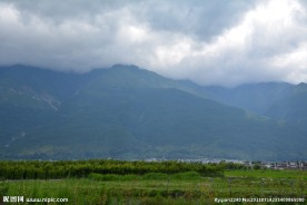 田野 大理洱海 洱海 洱海旁