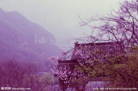 云台山摄影