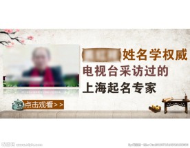 电视采访姓名学网页海报设计