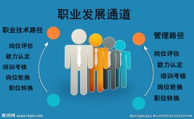 职业发展通道