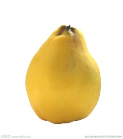 梨子