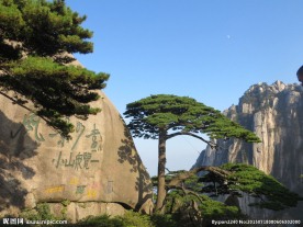 黄山风光 黄山旅游 黄山美景