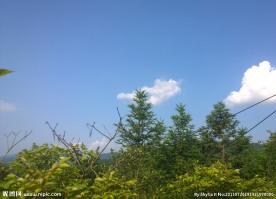 山林