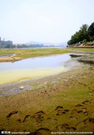 河岸风景