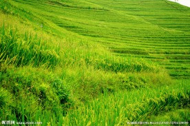 桂林龙脊梯田景区