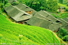 桂林龙脊梯田景区