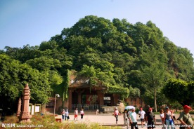 乐山大佛景区后山