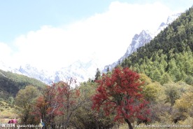 稻城雪山 稻城风光 稻城亚丁