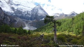 稻城雪山 稻城风光 稻城亚丁