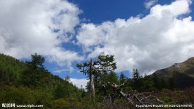 稻城风光 稻城亚丁