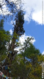 稻城风光 稻城亚丁