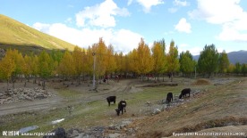 稻城雪山 稻城风光 稻城亚丁