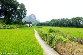 新宁县崀山田园风光