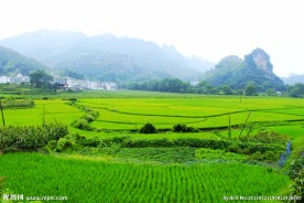 老虎山下田园风光