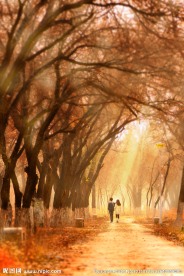 甜蜜时光