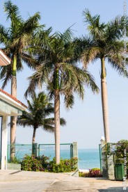 大梅沙