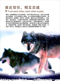 制度牌