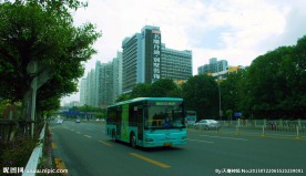城市建设 交通绿化