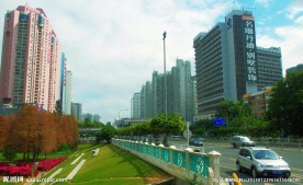 城市建设 交通绿化