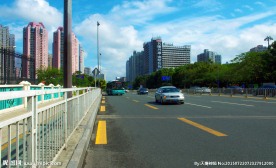 城市交通环境绿化