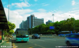 城市交通环境绿化