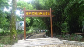 湿地公园展示区