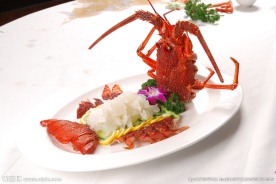 澳洲大龙虾刺身