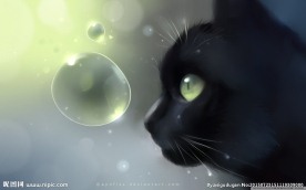 可爱猫咪壁纸