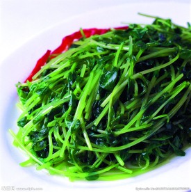鸡油豆苗