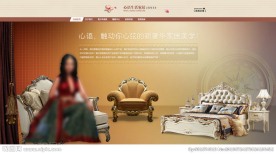 易狼网络 案例展示