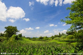 西溪湿地