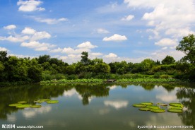 西溪湿地