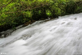 荔波樟江水上森林