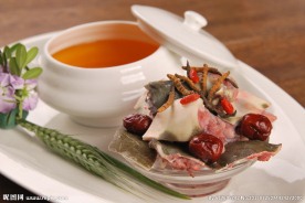 冬虫炖甲鱼
