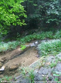 峡谷小溪