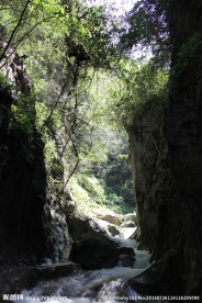 峡谷小溪