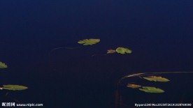 坝上御道口草原（高清）
