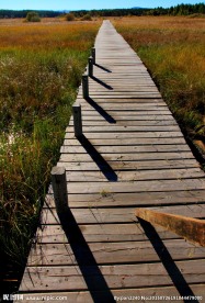 坝上御道口草原（高清）