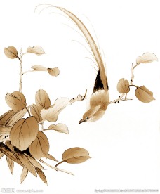 工笔花鸟