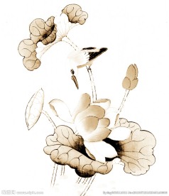 工笔花鸟