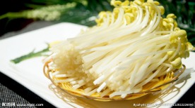 黄豆芽