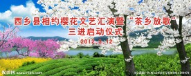 樱桃节