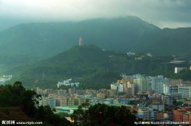山峰酒店 云雾观音