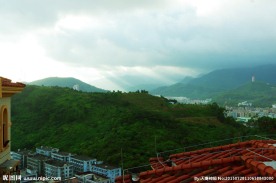 山峰酒店 云雾观音