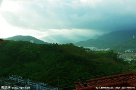 山峰酒店 云雾观音